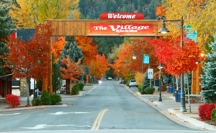 Fall season is without a doubt absolutely gorgeous